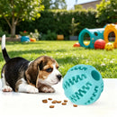 Dog Toy Ball Bite Resistant Teething Toys Balls for Small/Medium/Large Dog and Puppy Cat Dog Pet Food Treat Feeder Chew Tooth