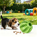 Dog Toy Ball Bite Resistant Teething Toys Balls for Small/Medium/Large Dog and Puppy Cat Dog Pet Food Treat Feeder Chew Tooth