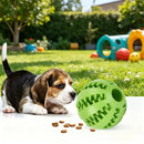 Dog Toy Ball Bite Resistant Teething Toys Balls for Small/Medium/Large Dog and Puppy Cat Dog Pet Food Treat Feeder Chew Tooth
