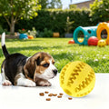 Dog Toy Ball Bite Resistant Teething Toys Balls for Small/Medium/Large Dog and Puppy Cat Dog Pet Food Treat Feeder Chew Tooth
