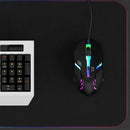 Mouse Gamer USB RGB