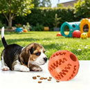 Dog Toy Ball Bite Resistant Teething Toys Balls for Small/Medium/Large Dog and Puppy Cat Dog Pet Food Treat Feeder Chew Tooth
